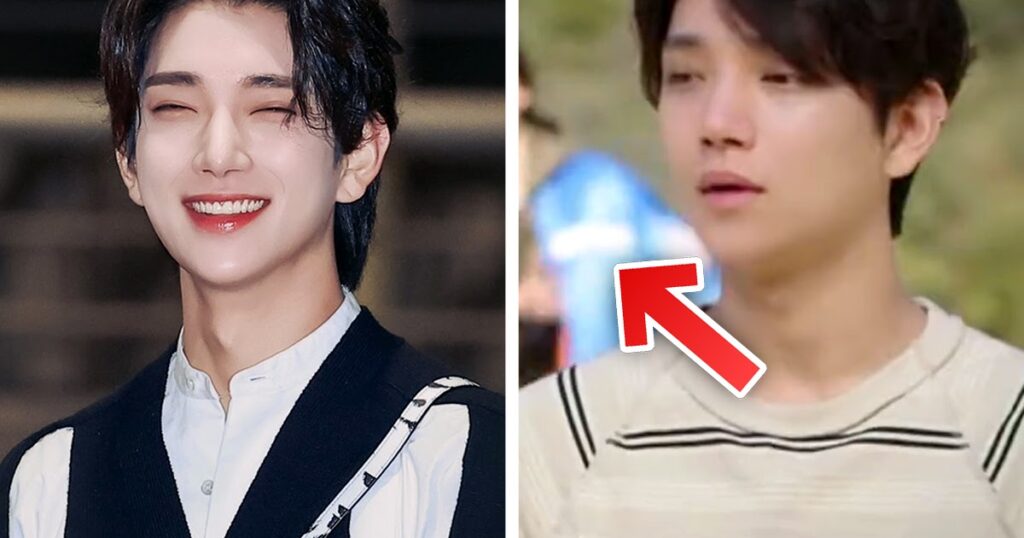 SEVENTEEN's Joshua Didn't Have A Clue An Unexpected Guest Crashed His  Interview, And It Goes Viral - KpopHit - KPOP HIT